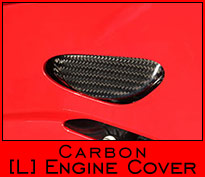 Carbon Engine Cover - Left Side