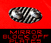 Carbon Mirror Blockoff Plates