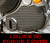 Carbon Engine Cover - Lower (R)