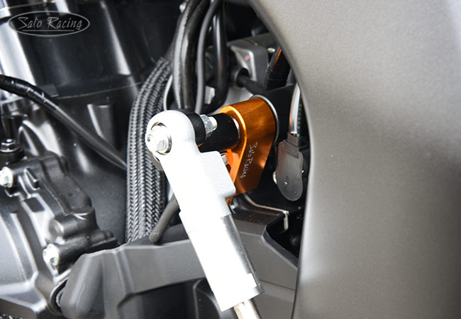SATO RACING Shift Spindle Holder on a 2025 Honda CB1000 Hornet